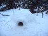 We're expecting more snow today! 