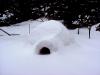 Day five, January 6th. Down below 20 degrees last night! It snowed quite a bit more last night, and it is drifting. Should be turning to sleet and freezing rain soon. 
