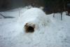 Day nine, January 10th. Still warm and melting, although I've heard we might get more freezing rain and snow soon. 
