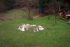 Day twenty-two, January 23rd. It's raining, but we may get some more snow tomorrow night. 