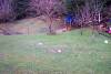 Day twenty-four, January 25th. No new snow. Looks like the igloo will be completely melted by tomorrow. 