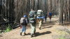 Hiking through the Tripod Fire from last year. 