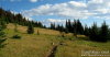 The trail led through beautiful meadows. 