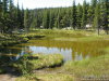 A swamp. 