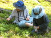 Picking huckleberries to add to our apricot cobbler. 
