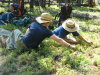 More huckleberry pickers. 