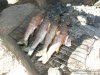Dinner 