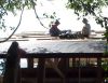 Putting tar paper on the roof. 