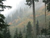 Fall colors. 