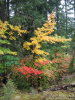 Even more colors. 
