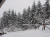 More fresh snow at 9 a.m., January 3rd. 