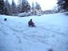 Suzanne went sledding. She even took the dog for a ride on the sled! 