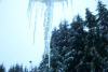 A big icicle. That's our bird hotel way up in the sky towards the lower left hand corner of the picture. Hope the birds are staying warm. 