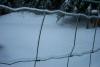 The ice even stuck to the fence! 