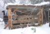 One of our llama sheds fell down from all the weight of the snow and ice! All the llamas are ok, thankfully. 