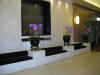 Waterfall and flowers in the lobby area. 