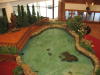 Fish pond in the lobby. 