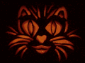 Jeff's Cat Pumpkin Carving - Lights Off 
