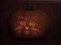 Jeff's Cat Pumpkin Carving - Lights On 