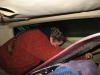 Christina trying to shut the door behind us. There is no handle on the inside, and she ended up having to ask some guy to shut us in. We were then stuck inside until our windows or locks thawed out (we could have asked someone to open the back for us if we got desperate). 