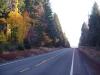 The road toward Mt. Adams. 
