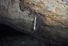 Some kind of root or something growing in the small cave Kim found. 