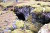 Entrance of Scroll Canyon Cave #2. 