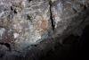 Formations in Scroll Canyon Cave #1. 