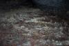 Rippled floor in Scroll Canyon Cave #1. 