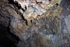 Cool formations inside the tree mold. 