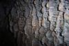 More bark. 