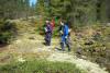 Hiking across the moss-carpeted lava. 