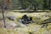 GPS 129 - Fire Pit Shelter Cave. 