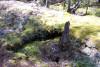 GPS S1 - Small cave that wasn't explored. 