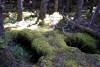 This lava bridge had a deer/elk trail running right across it. Pretty cool. 