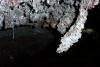 GPS 215 - Hobo Cave - More lava formations. 