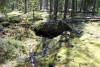GPS 216 - Baby Salamander Cave - Main entrance. 