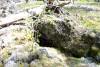 GPS 216 - Baby Salamander Cave - Skylight entrance. 