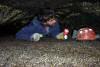 GPS 219 - Claude crawling. 