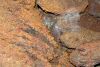 Mold 