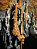 Colors where minerals have seeped in. 