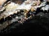 Water droplets on a spider web. 