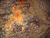 Minerals in Beaver Bay Cave. 