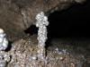 A lonesome stalagmite in Beaver Bay Cave. 
