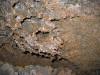 Dogwood Cave - Taffy formations. 