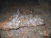 This must have been a chunk of the ceiling that broke off. 